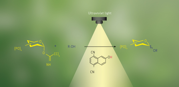 The environmentally benign glycosylation reaction for the coupling of carbohydrates (yellow) and alcohols (blue) using organic acids (black).