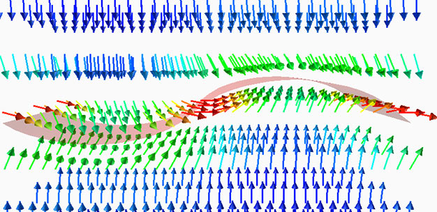 Domains are regions in magnets where the magnetism points in different directions (blue arrows). Separating these domains are domain walls, which can show dynamic wave motions of the magnetic direction (green, red arrows).