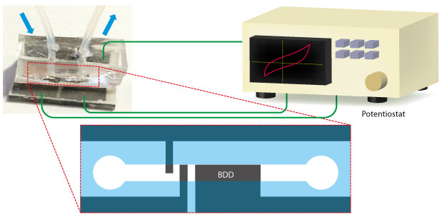 Microchip devices containing boron-doped diamond (BDD) microelectrodes can screen enzymes for catalytic activity with remarkably high throughput, measured using a potentiostat.