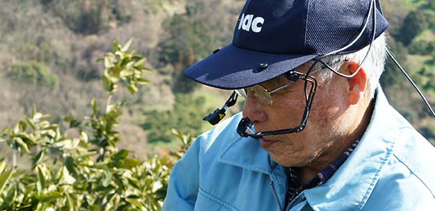 The work of an expert farmer is recorded using an eye camera system.